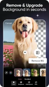 Picsart Pro APK
